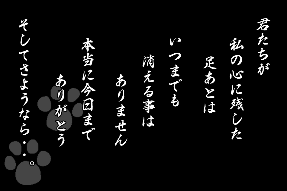東京・川崎・横浜 格安 ペット訪問葬儀/火葬.com(コム)