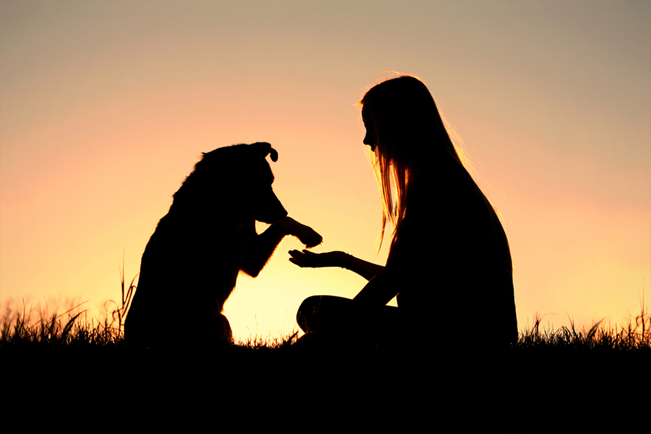 東京・川崎・横浜 格安 ペット訪問葬儀/火葬.com(コム)